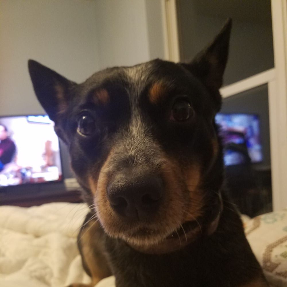 Meet your Posher, Stacy